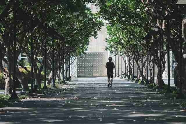 榴莲社区——盈利路径热点追踪一文看懂